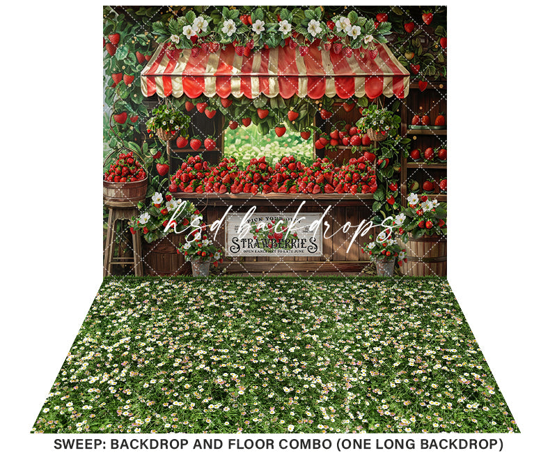 Spring Summer Backdrop for Pictures | Pick Your Own Strawberries