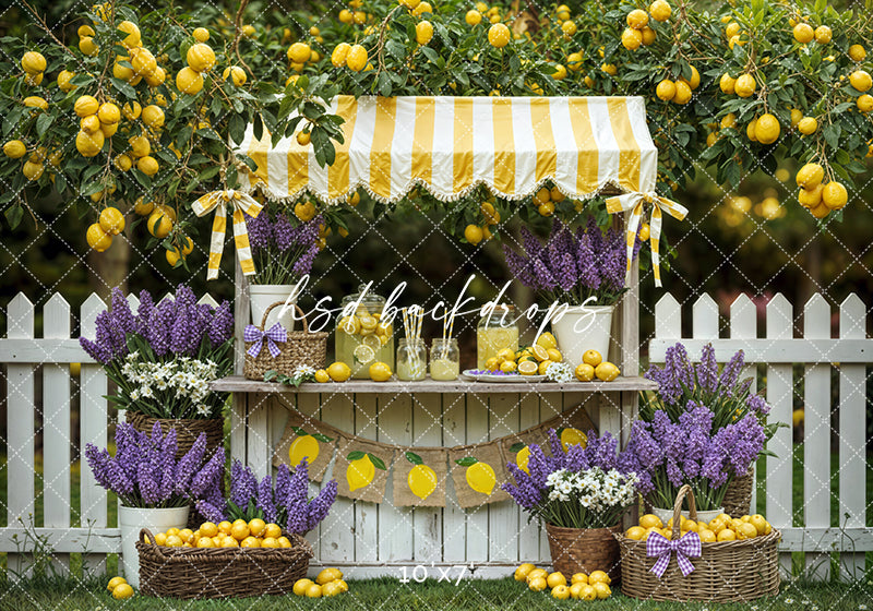 Lemon Lane Market – Lemonade Stand Photography Backdrop
