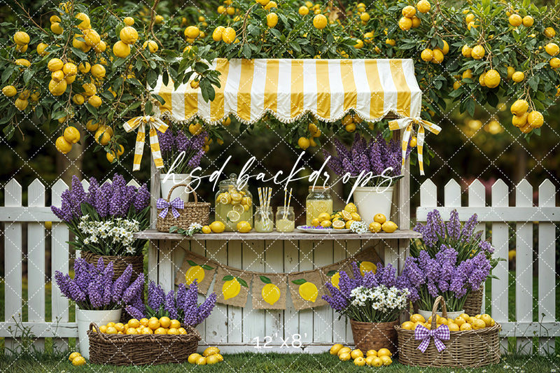Lemon Lane Market – Lemonade Stand Photography Backdrop