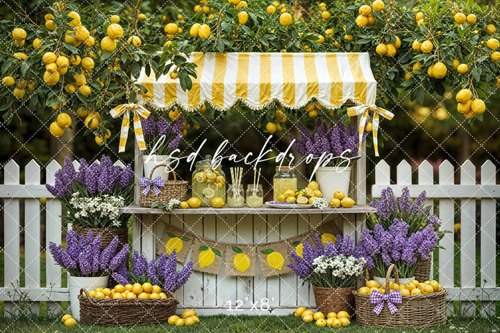 Lemon Lane Market – Lemonade Stand Photography Backdrop