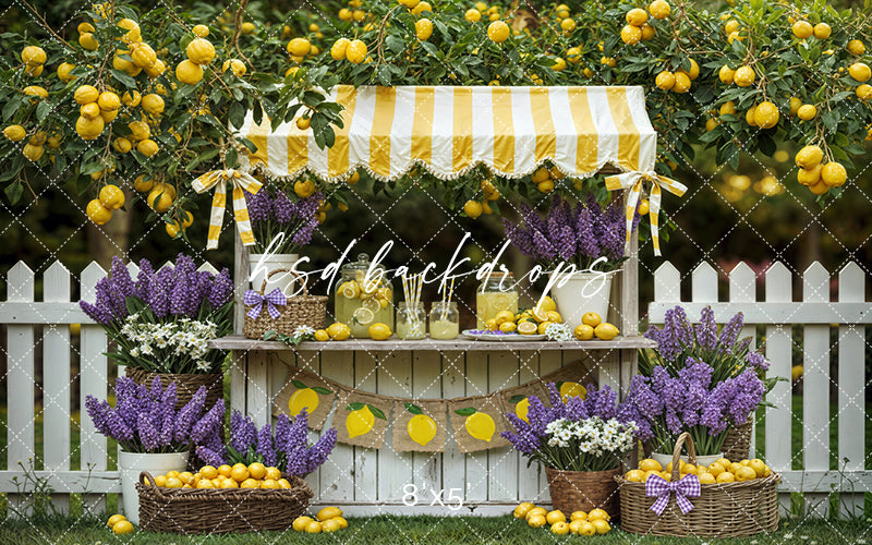 Lemon Lane Market – Lemonade Stand Photography Backdrop
