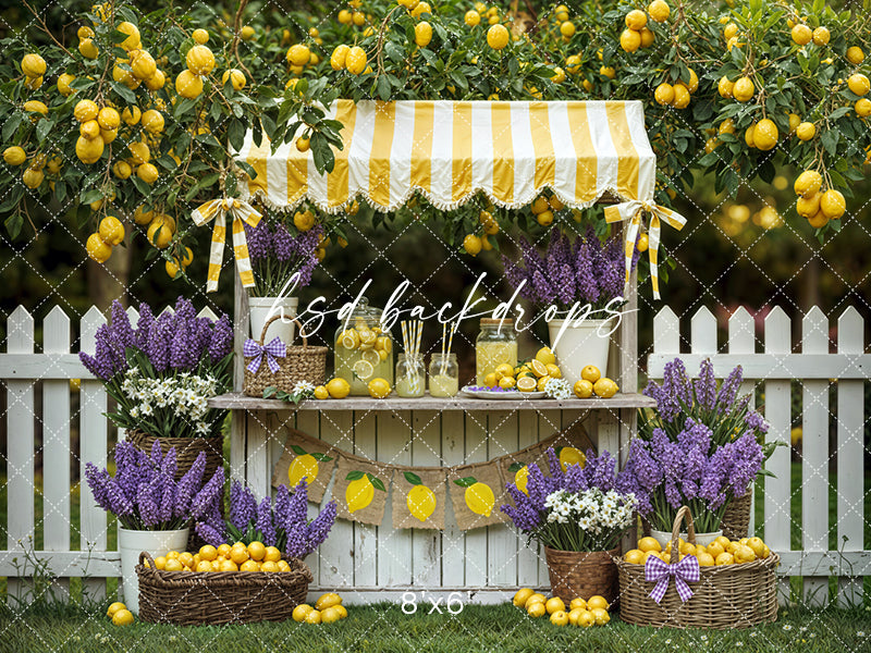 Lemon Lane Market – Lemonade Stand Photography Backdrop