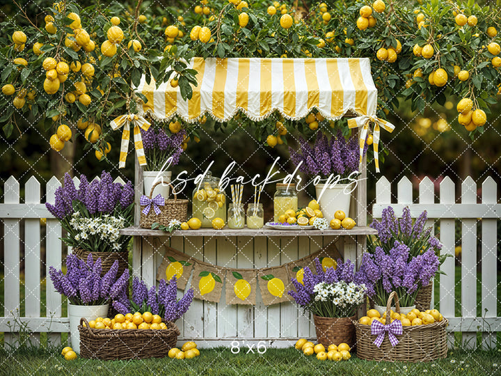 Lemon Lane Market – Lemonade Stand Photography Backdrop