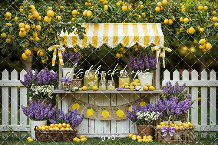 Lemon Lane Market – Lemonade Stand Photography Backdrop