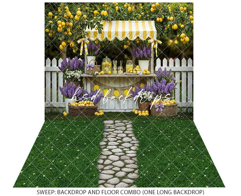 Lemon Lane Market – Lemonade Stand Photography Backdrop