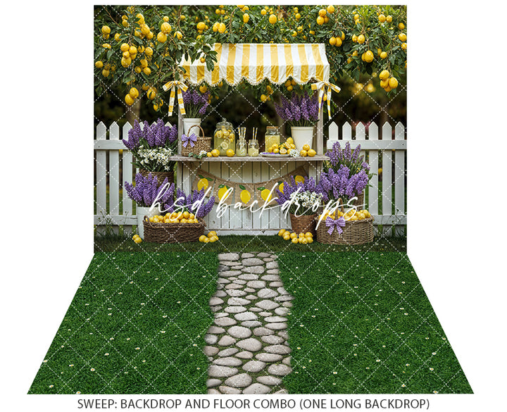 Lemon Lane Market – Lemonade Stand Photography Backdrop