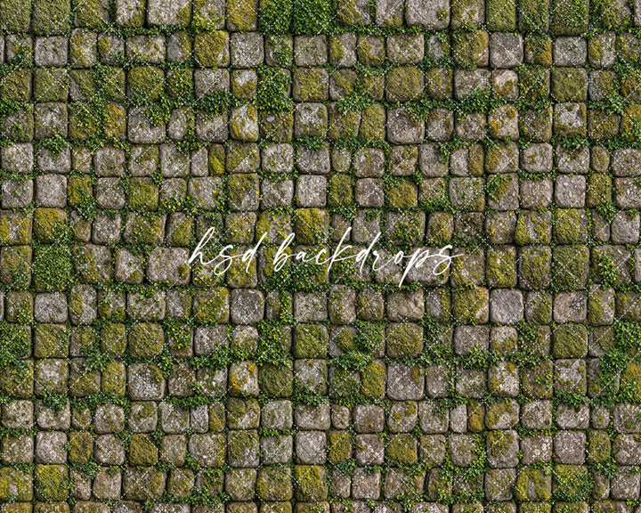 Mossy cobblestone stone floor backdrop with textured weathered stones and green moss