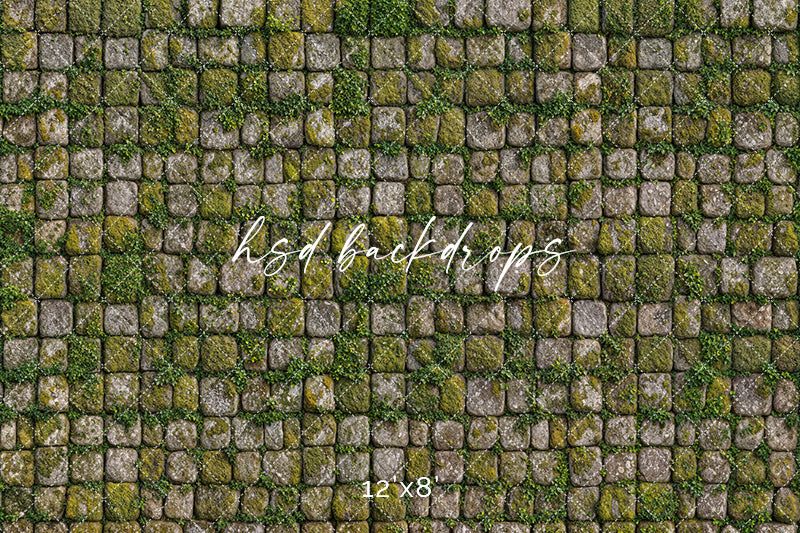 Mossy Cobblestone Path – Rustic Stone Floor Backdrop