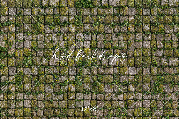 Mossy Cobblestone Path – Stone Floor Mat