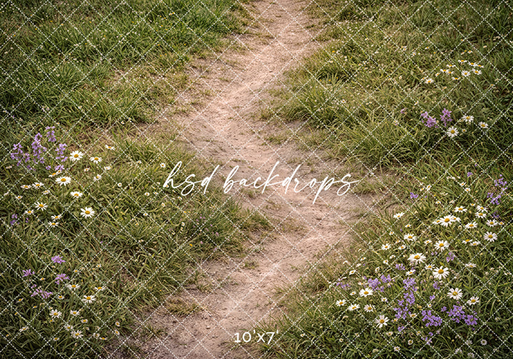 Wildflower Meadow Path Photography Backdrop – Rustic Spring Grass Portrait Scene | HSD Backdrops