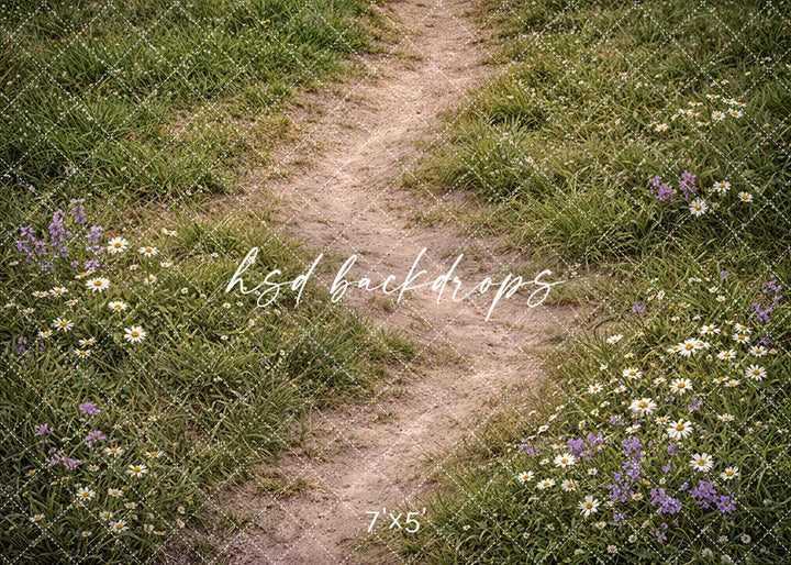 Wildflower Meadow Path Photography Backdrop – Rustic Spring Grass Portrait Scene | HSD Backdrops
