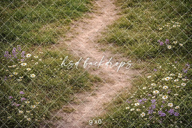 Wildflower Meadow Path Photography Backdrop – Rustic Spring Grass Portrait Scene | HSD Backdrops