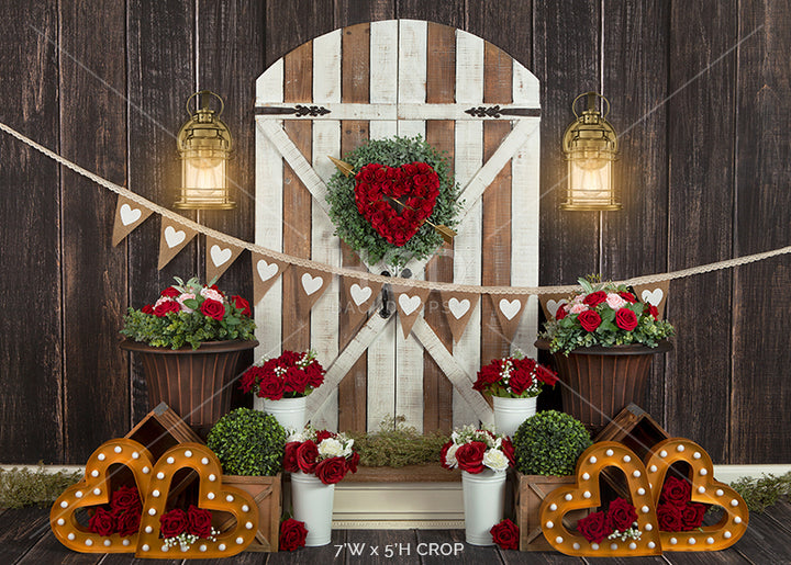 Valentine's Day Door (poly) - HSD Photography Backdrops 