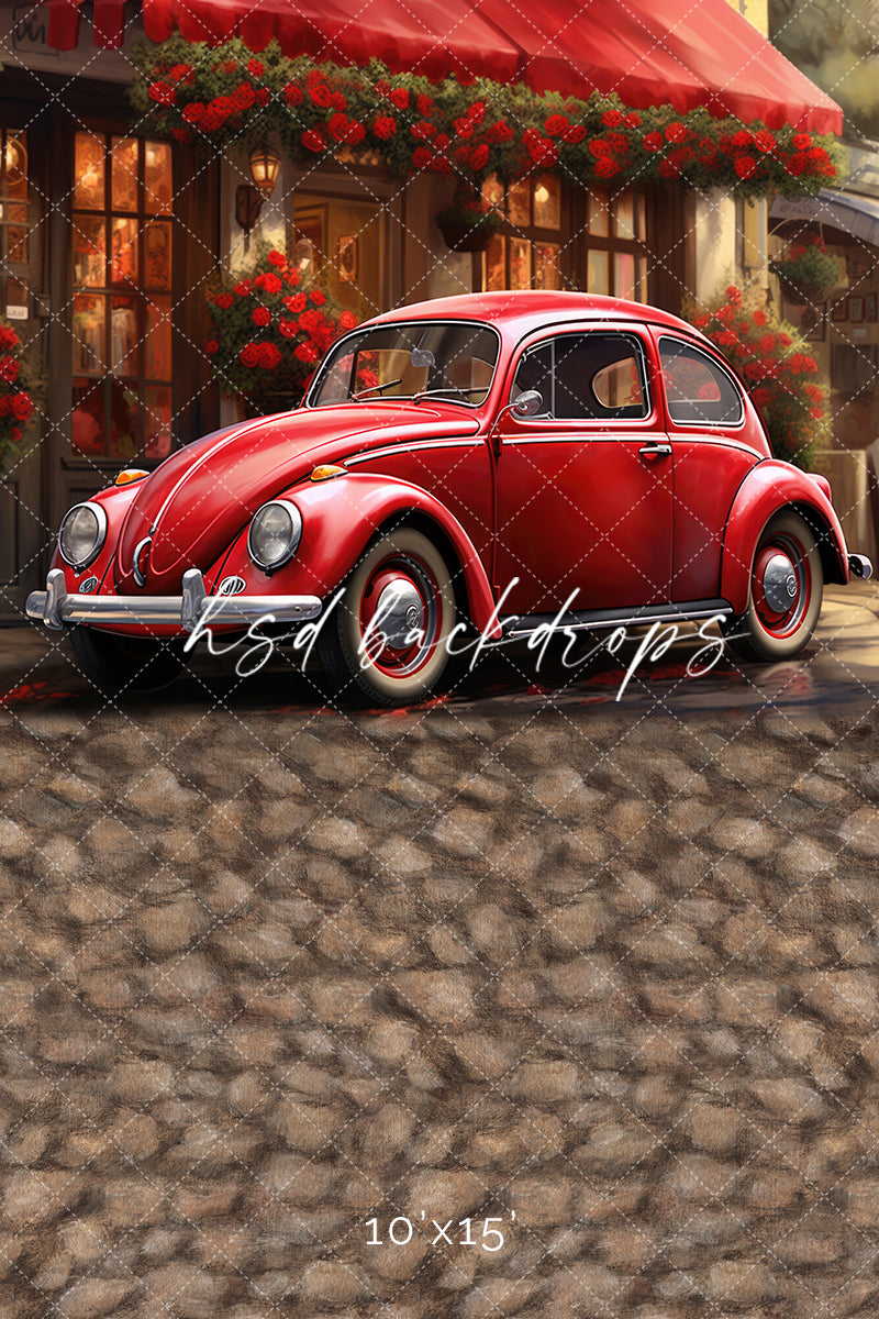 Love Bug (sweep options) - HSD Photography Backdrops 