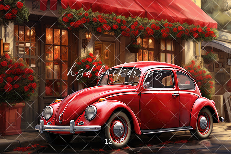 Love Bug Valentine’s Day Backdrop for Photography or Party