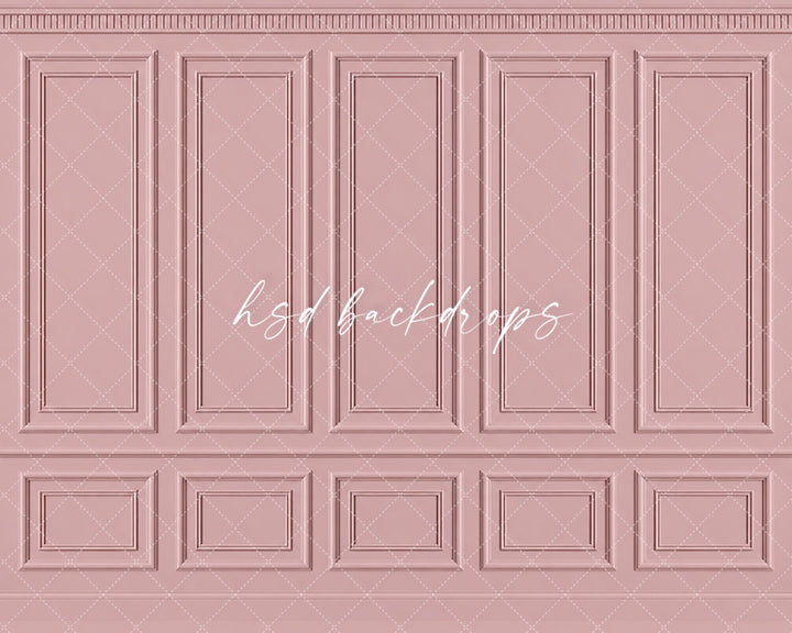 Antique Blush French Panel Photography Backdrop – Elegant Fine Art Portrait Scene | HSD Backdrops