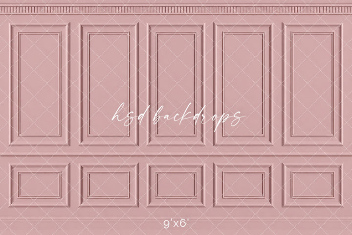 Antique Blush French Panel Photography Backdrop – Elegant Fine Art Portrait Scene | HSD Backdrops