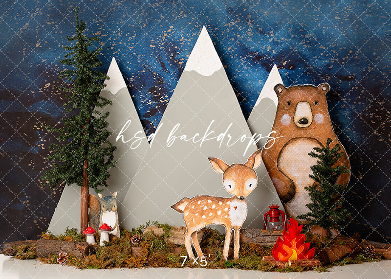Welcome to the Woods - HSD Photography Backdrops 