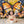 Monarch Butterfly - HSD Photography Backdrops 