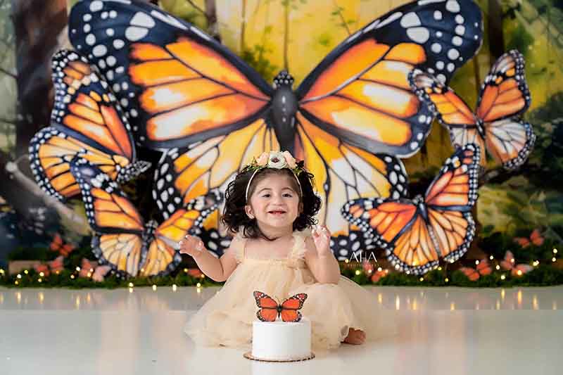 Monarch Butterfly - HSD Photography Backdrops 