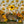 Sweet Sunflowers - HSD Photography Backdrops 