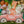 Pink Safari Jeep - HSD Photography Backdrops 