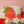 Berry Sweet One Cake Smash Birthday Photography Backdrop 