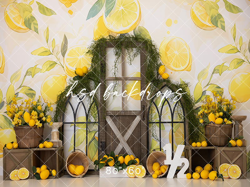 Products – HSD Photography Backdrops
