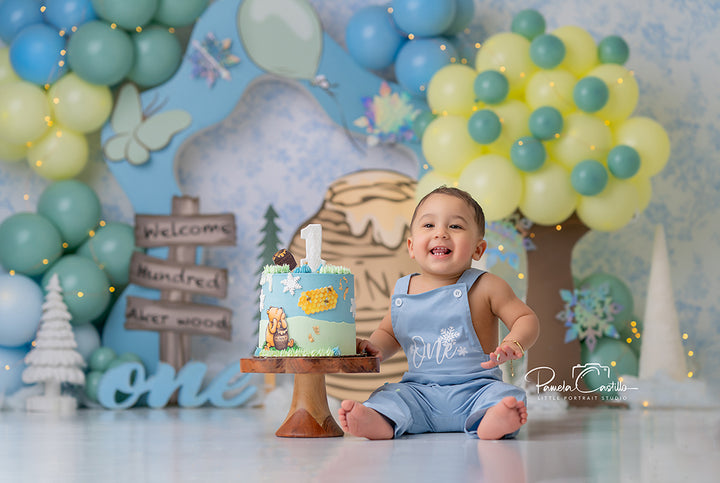 Hunny Pot Celebration photography backdrop with pastel balloon trees, honey pot, butterflies, and Hundred Acre Wood sign for birthday and baby photo sessions.