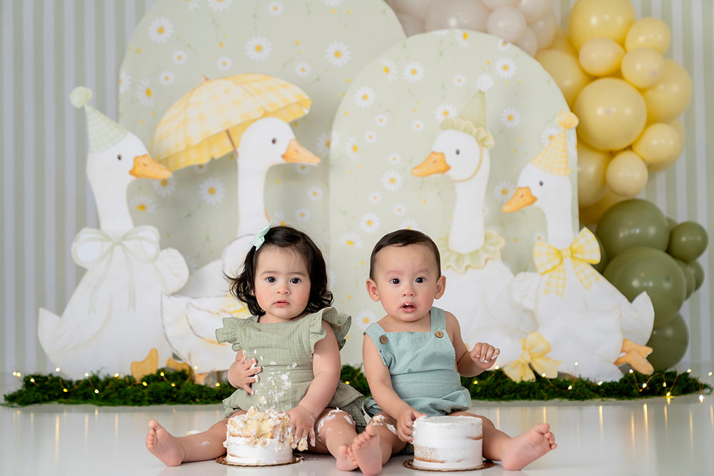 Pastel silly goose birthday photography backdrop featuring illustrated geese, yellow daisies, soft neutral balloons, and a striped spring garden scene.