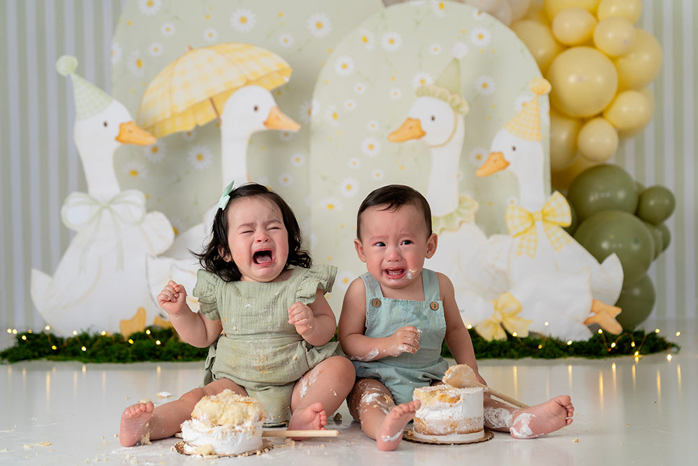 Silly Goose Garden Party – Pastel Birthday Backdrop | HSD Backdrops