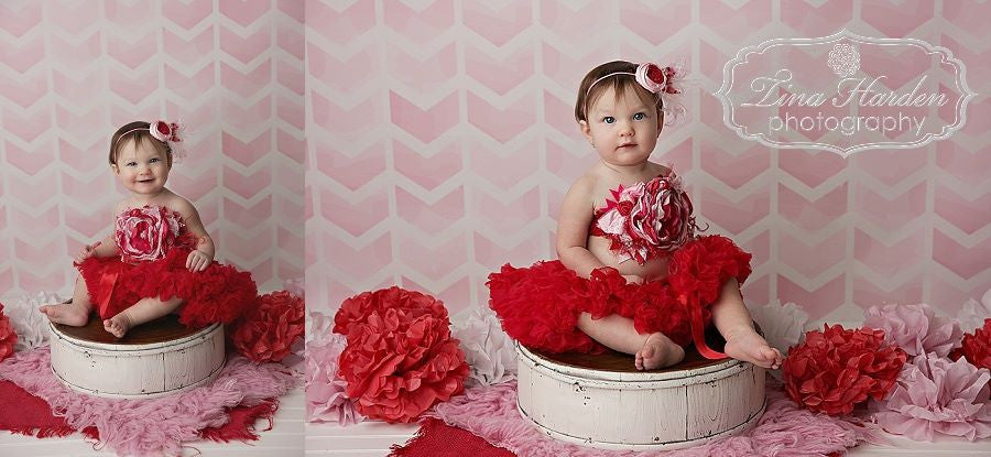 Pink Chevron Arrows - HSD Photography Backdrops 