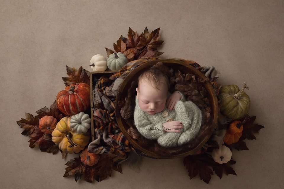 Happy Harvest | Autumn Harvest Coll. | Digital - HSD Photography Backdrops 