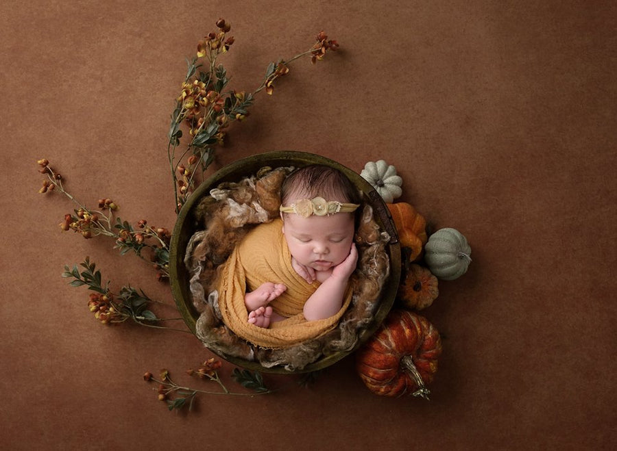 Pumpkin Centerpiece Brown | Lovely Leaves Coll. | Digital - HSD Photography Backdrops 