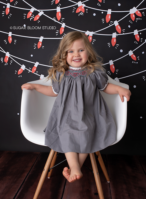 Christmas Lights & Snow - HSD Photography Backdrops 