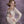 Wild Lavender - HSD Photography Backdrops 