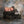 Autumn Dusk - HSD Photography Backdrops 