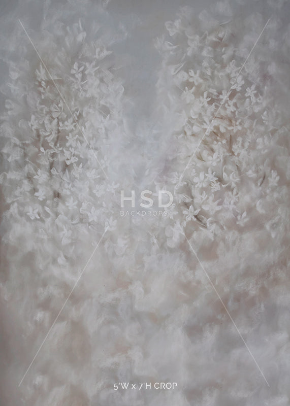 Dainty - HSD Photography Backdrops 