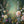 Flower Meadow Photo Backdrop for Spring or Summer Photography 