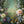 Flower Meadow - HSD Photography Backdrops 