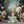 Flower Meadow - HSD Photography Backdrops 