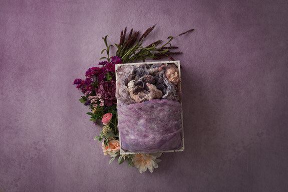 Althea Coll. | Althea Collection | Digital - HSD Photography Backdrops 