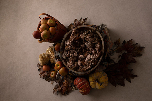Autumn Harvest Collection | Digital - HSD Photography Backdrops 