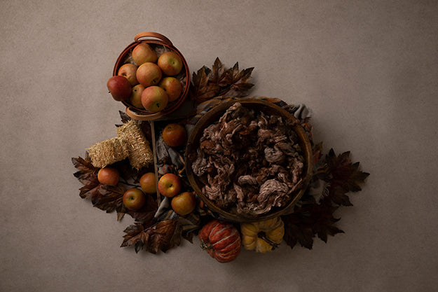 Autumn Harvest Collection | Digital - HSD Photography Backdrops 