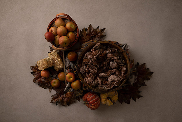 Apple Cider Season | Autumn Harvest Coll. | Digital - HSD Photography Backdrops 