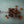 Little Red Wagon Collection | Digital - HSD Photography Backdrops 