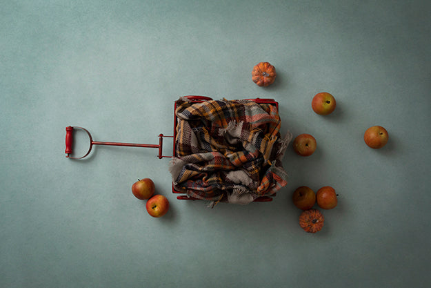 Apple Picking | Little Red Wagon Coll. | Digital - HSD Photography Backdrops 