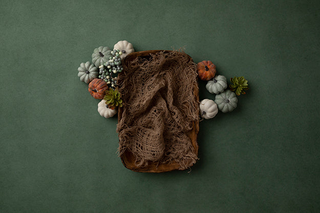 Autumn Basket | Autumn Elements Coll. | Digital - HSD Photography Backdrops 