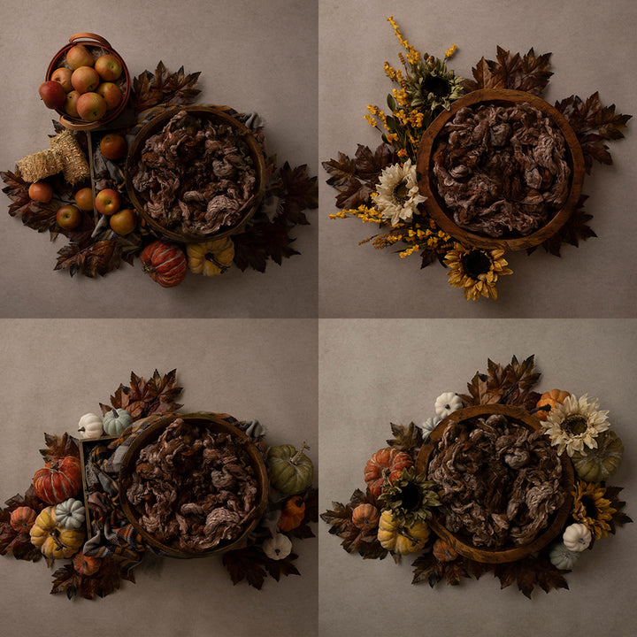 Autumn Harvest Collection | Digital - HSD Photography Backdrops 