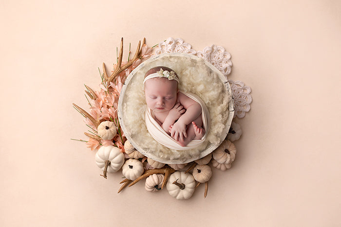 Autumn Splendor | Newborn Digital - HSD Photography Backdrops 